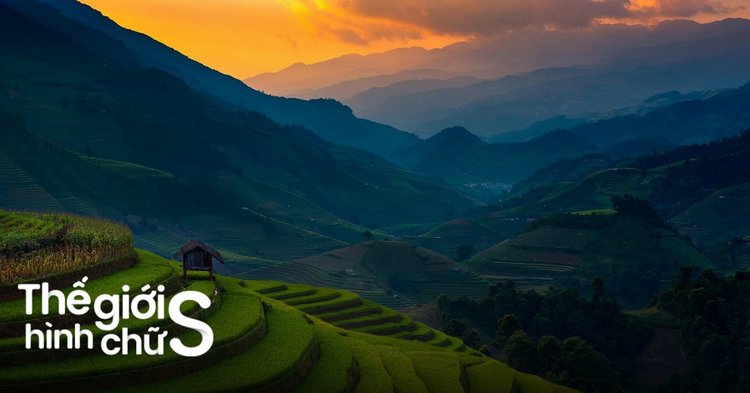 Câu hỏi thường gặp